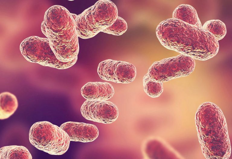 Дентална клиника Дамянов Учени с категорични доказателства: Има връзка между заболявания на венците и болестта на Алцхаймер Алцхаймер